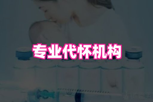 南京助孕网 2
